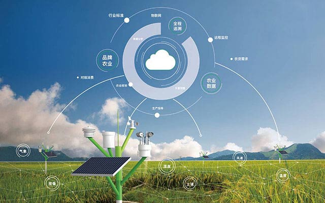 电信物联网业务是什么(电信物联网卡在手机上使用没有信号)